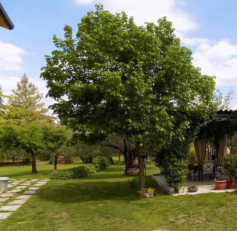 Bed and Breakfast Due Archi Сант'Амброджо-ді-Вальполічелла Екстер'єр фото